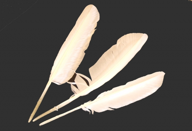 Birds' feathers Swan approx. 30 - 40 cm / Pack = 1 pieces